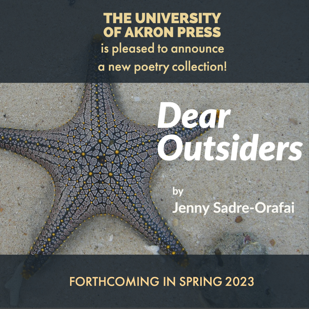Dear Outsiders by Jenny Sadre Orafai